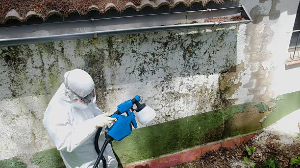 Top rated local Crawl Space Mold Removal specialists in Union, KY